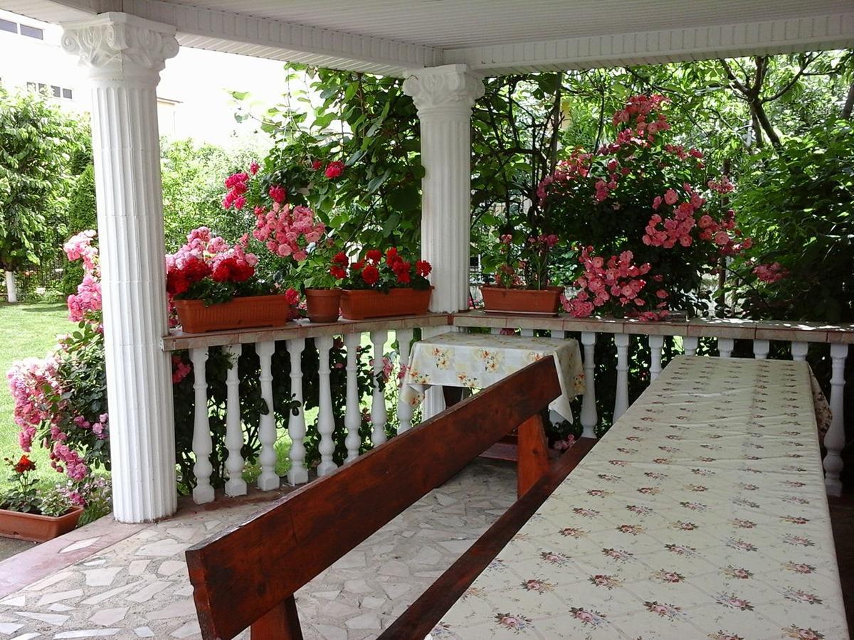 Băile Felix Casa Monica酒店 外观 照片