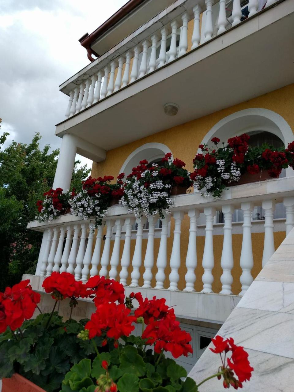 Băile Felix Casa Monica酒店 外观 照片