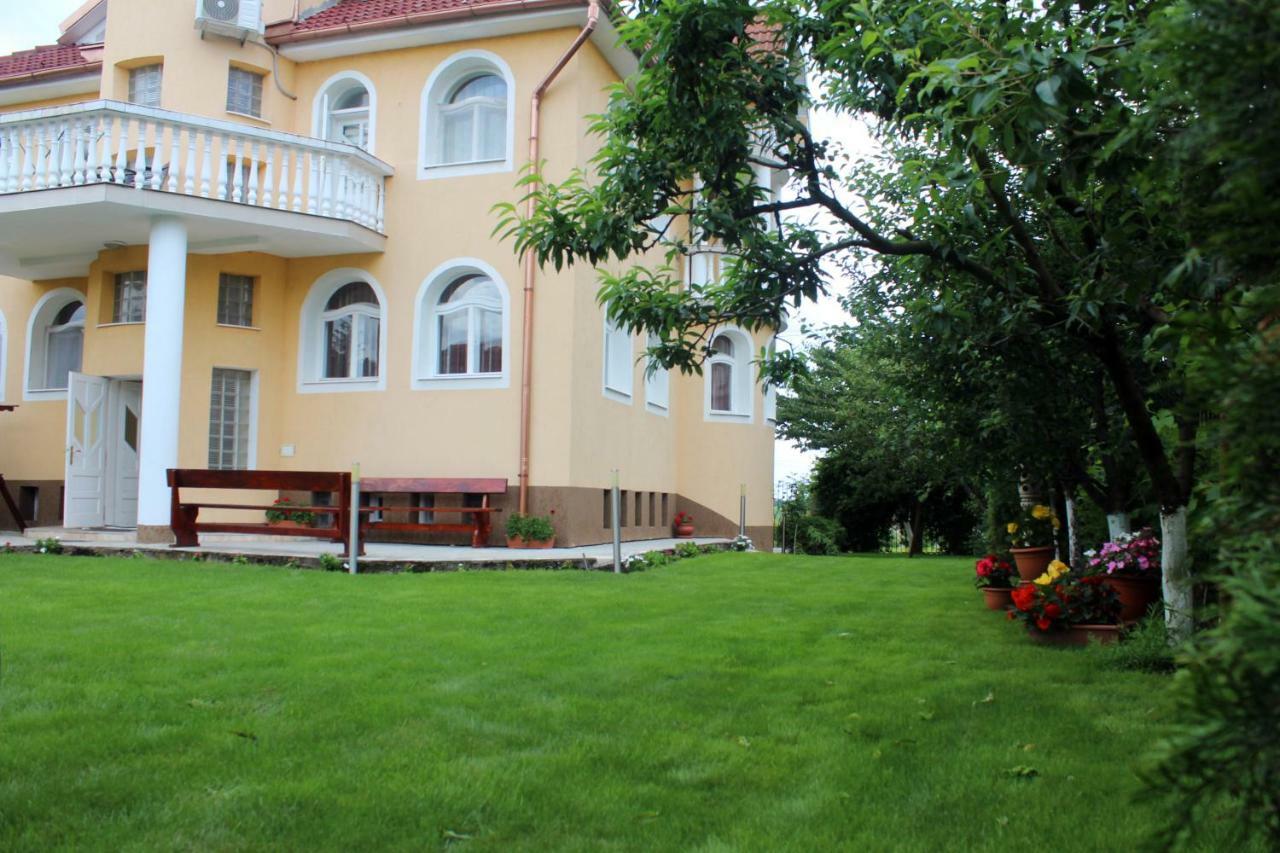 Băile Felix Casa Monica酒店 外观 照片
